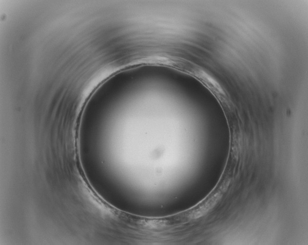 X0000088720808200705311421