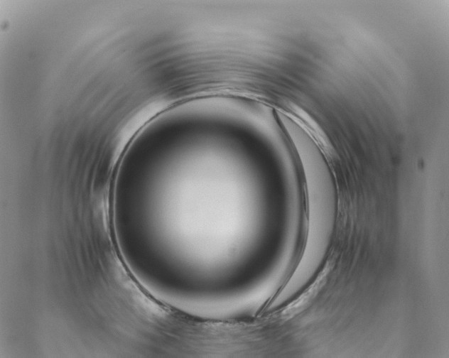 X0000088720812200705311421