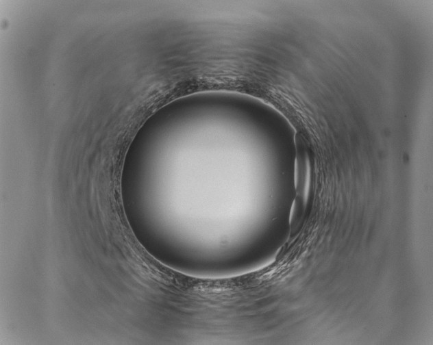 X0000088720817200705311420