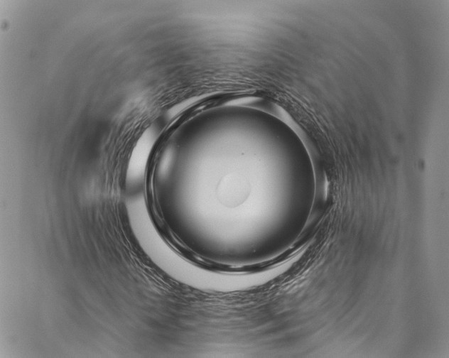X0000088720818200705311420