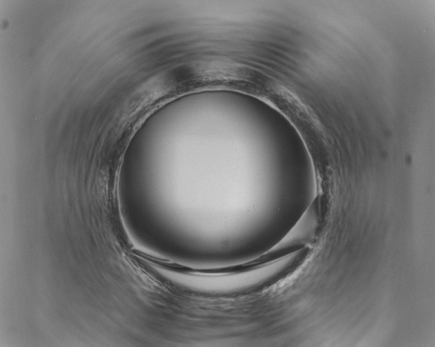 X0000088720825200705311420