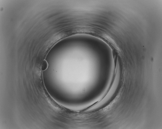 X0000088720841200705311420