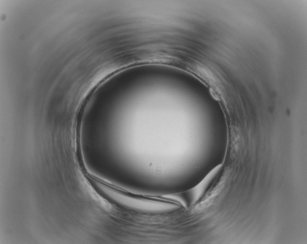 X0000088720843200705311420