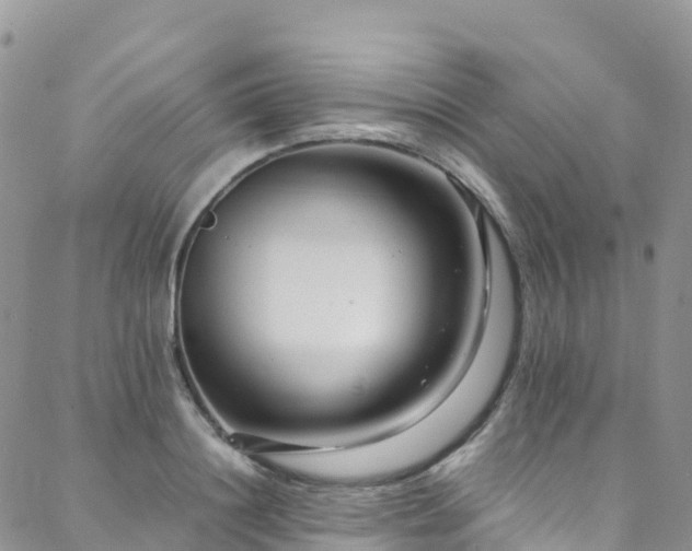 X0000088720844200705311421