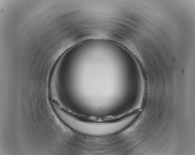 X0000088720845200705311421