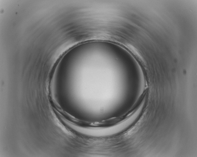 X0000088720846200705311421