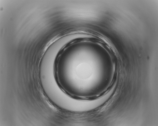 X0000088720858200705311421
