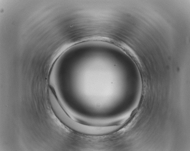 X0000088720860200705311421