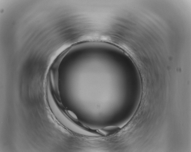 X0000088720864200705311421