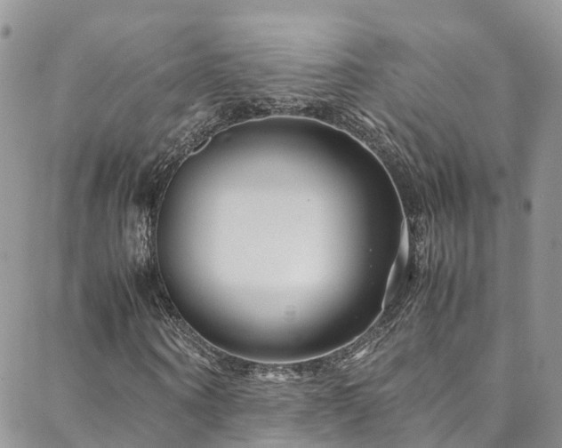 X0000088720866200705311420