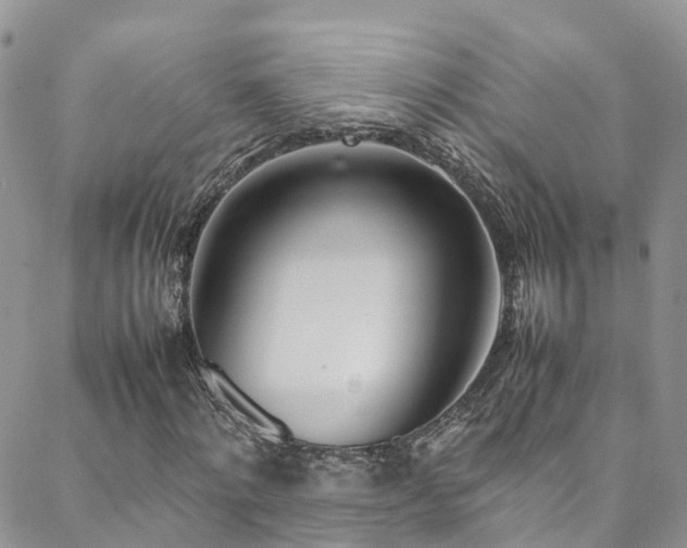 X0000088720868200705311420