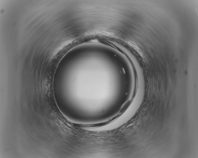 X0000088720872200705311420