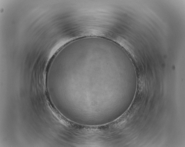 X0000088720886200705311420