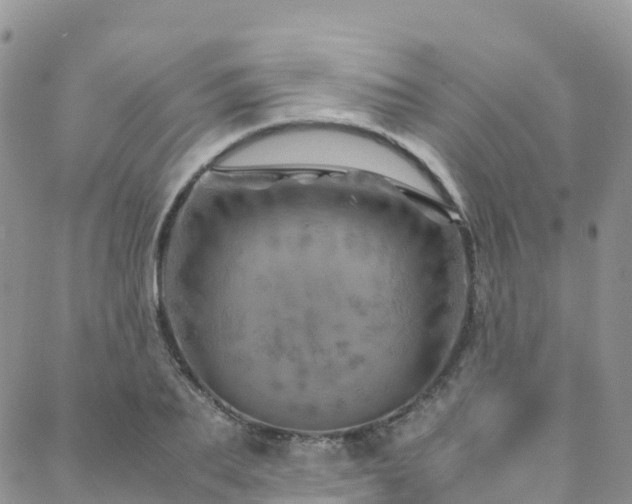 X0000088720887200705311420