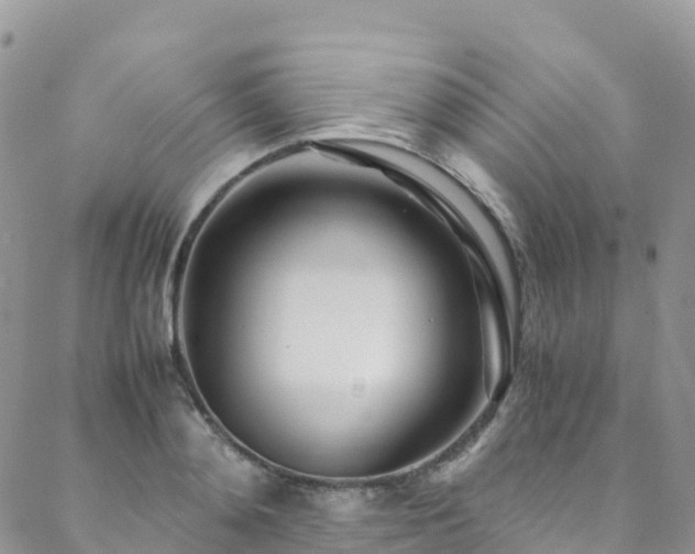 X0000088720892200705311420