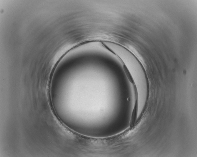 X0000088720901200705311419