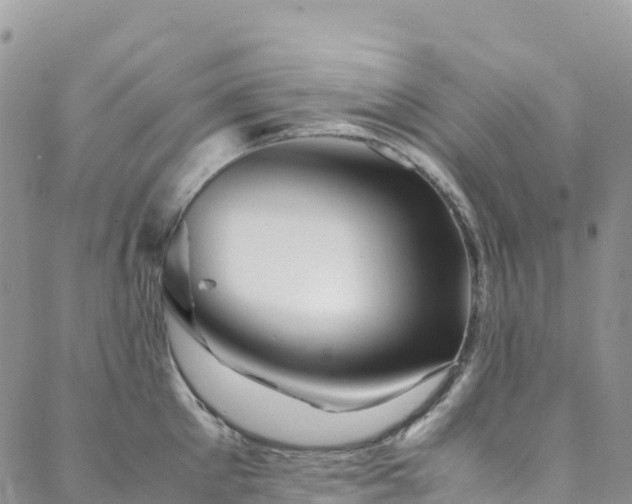 X0000088720905200705311419