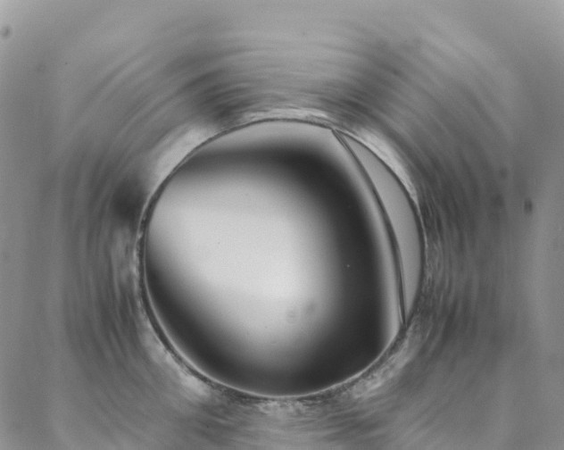 X0000088720906200705311419