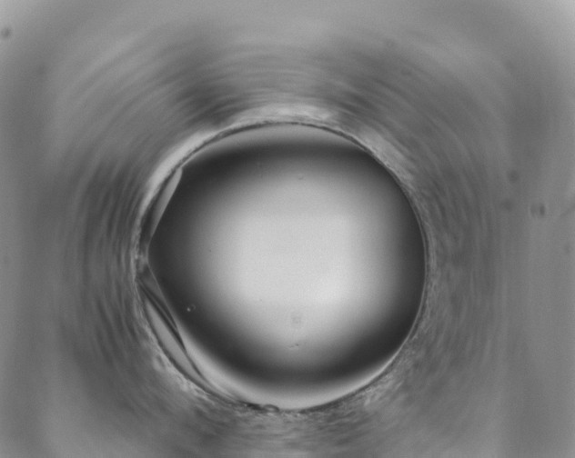 X0000088720912200705311419