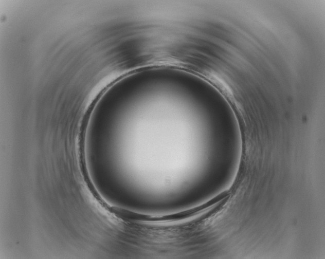 X0000088720947200705311419