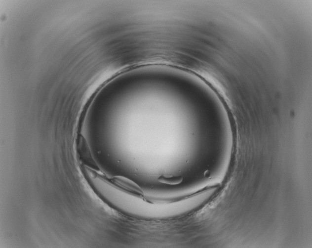X0000088720949200705311419