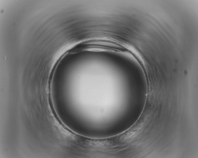 X0000088720951200705311419