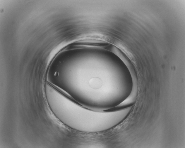 X0000088720960200705311419