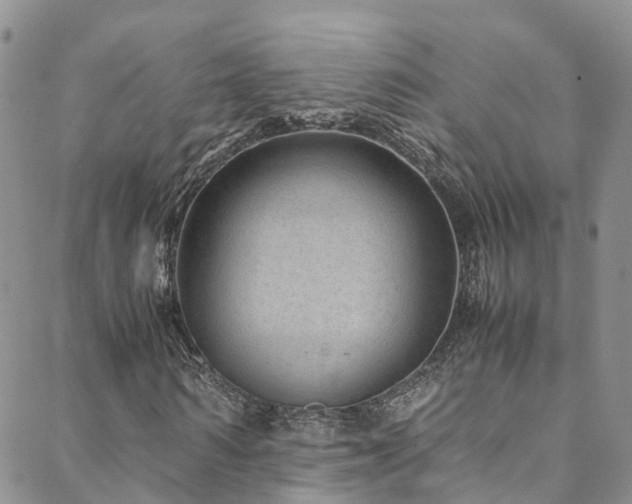 X0000088720962200705311418