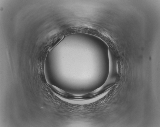 X0000088720965200705311418