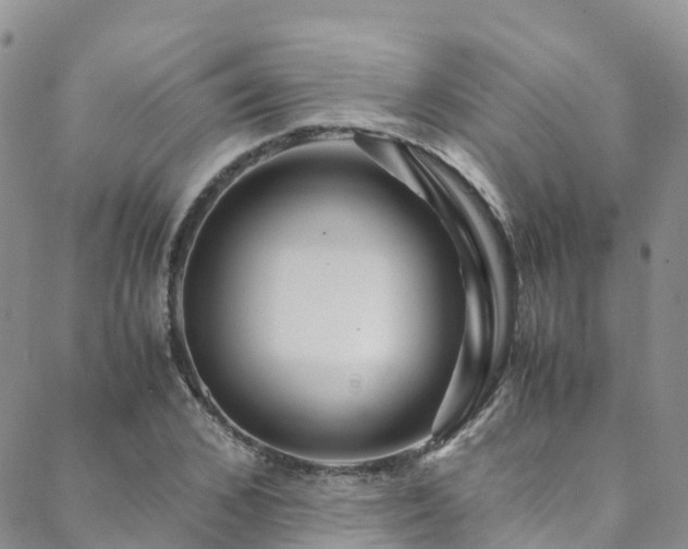 X0000088720976200705311418