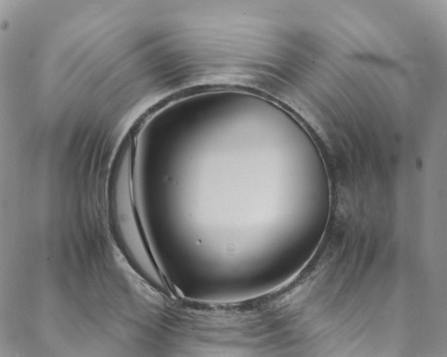 X0000088720980200705311418