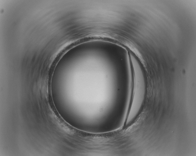 X0000088720984200705311418