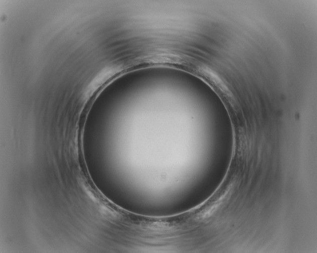 X0000088720986200705311418