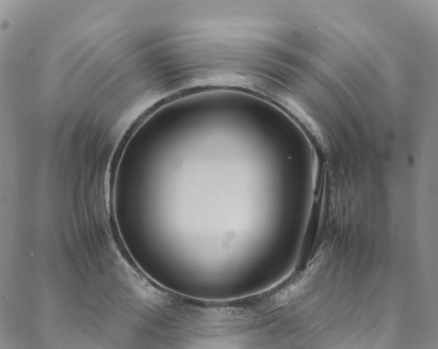 X0000088720988200705311418