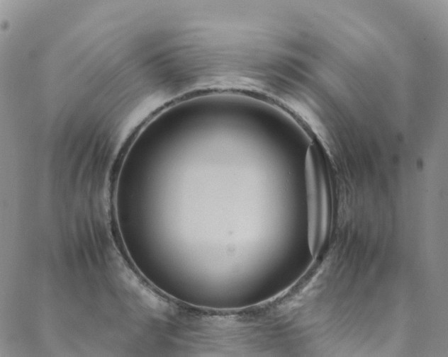 X0000088720990200705311418
