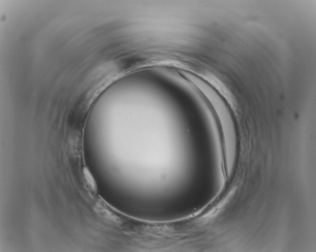 X0000088721001200705311418