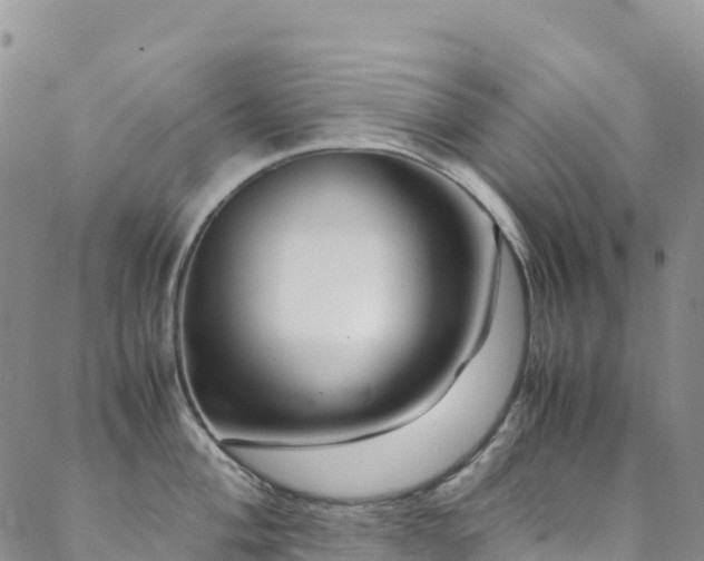X0000088721004200705311418