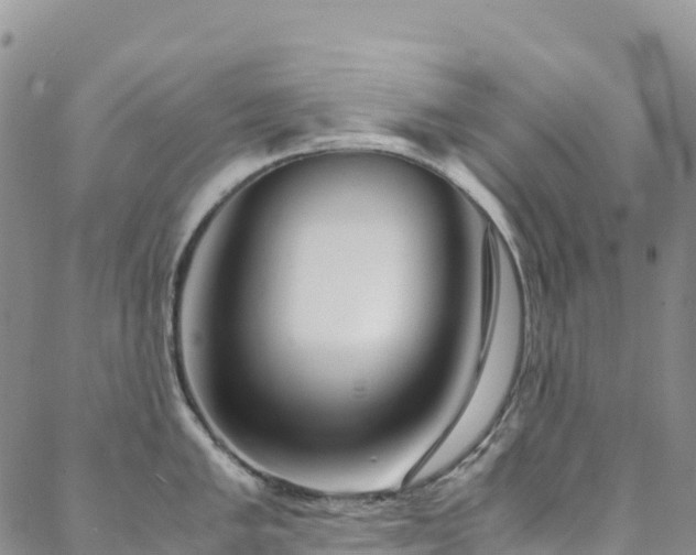 X0000088721005200705311418