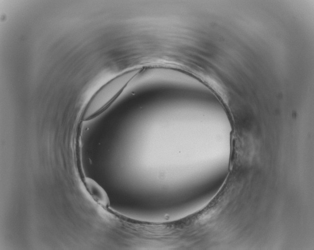 X0000088721007200705311418