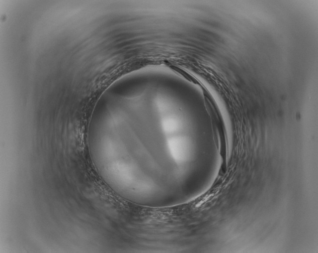 X0000088721013200705311417