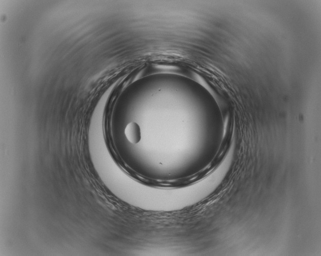 X0000088721014200705311417