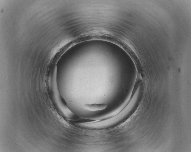 X0000088721018200705311417