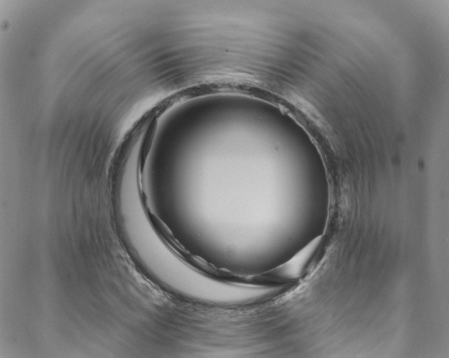 X0000088721022200705311417