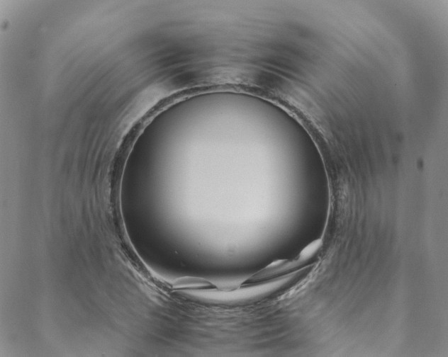 X0000088721023200705311417
