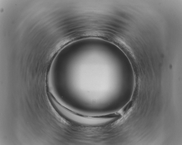 X0000088721033200705311417
