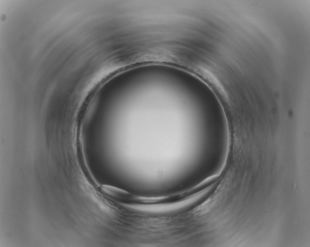 X0000088721035200705311417