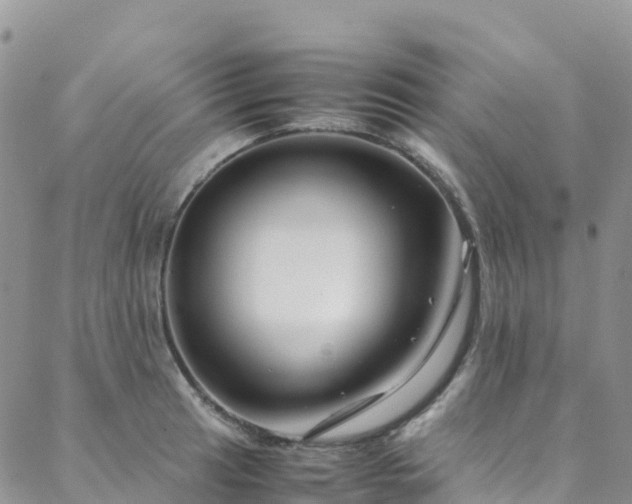 X0000088721041200705311417