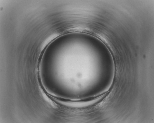 X0000088721042200705311418