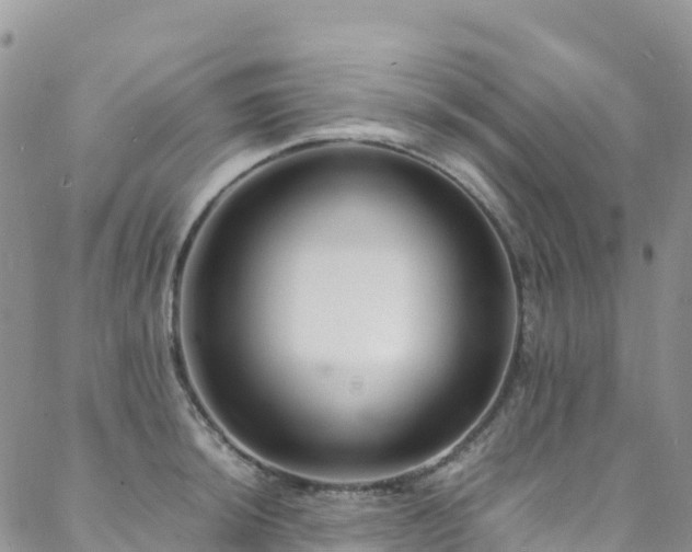 X0000088721044200705311418
