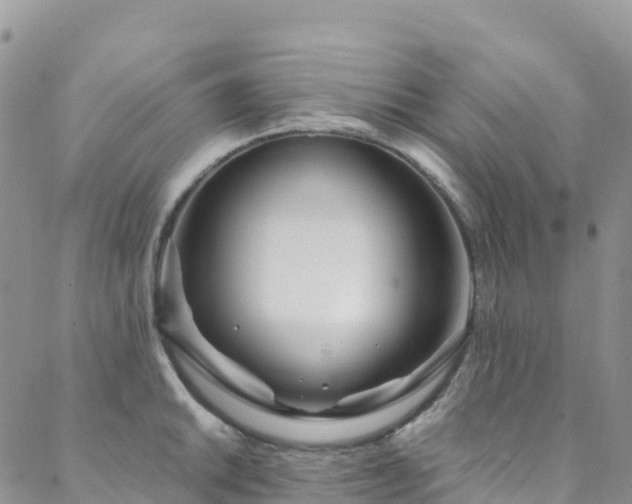X0000088721046200705311418